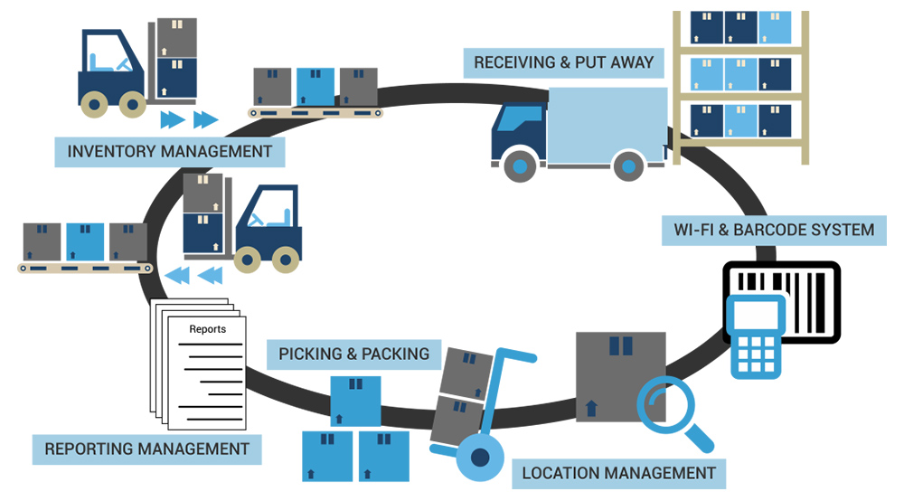 Dynic technology chart